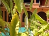 Castillo 026